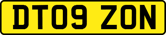DT09ZON