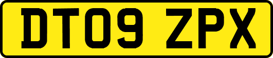DT09ZPX