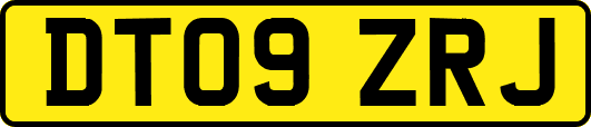 DT09ZRJ