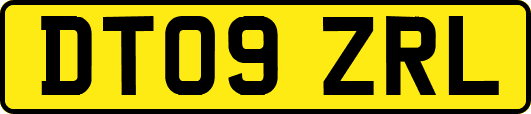 DT09ZRL