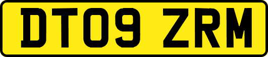 DT09ZRM