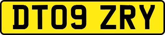 DT09ZRY