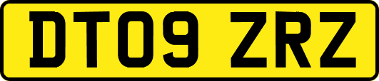 DT09ZRZ