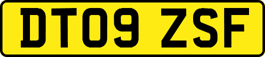 DT09ZSF