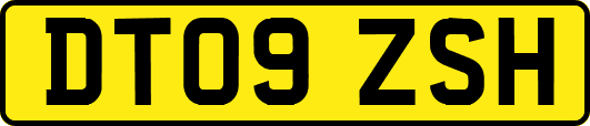 DT09ZSH