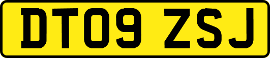 DT09ZSJ