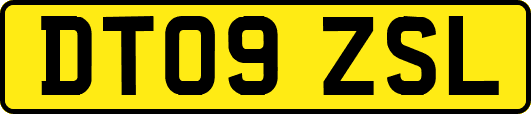 DT09ZSL