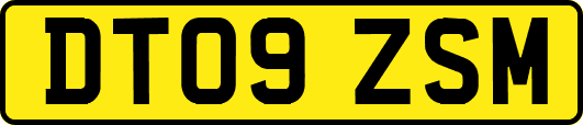 DT09ZSM