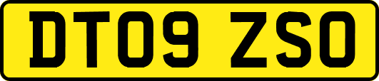 DT09ZSO