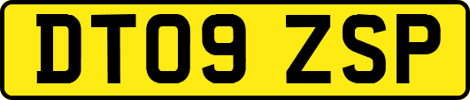 DT09ZSP