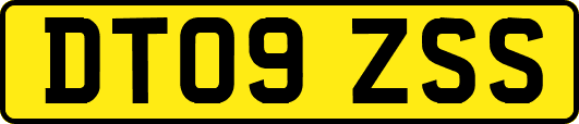 DT09ZSS