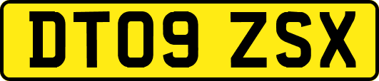 DT09ZSX