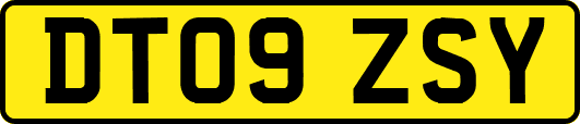 DT09ZSY