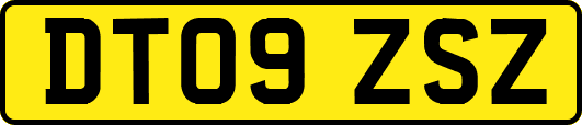 DT09ZSZ