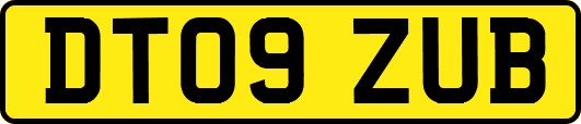 DT09ZUB