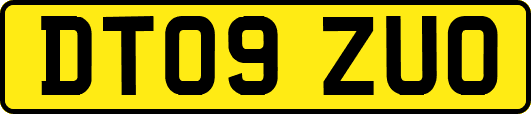 DT09ZUO
