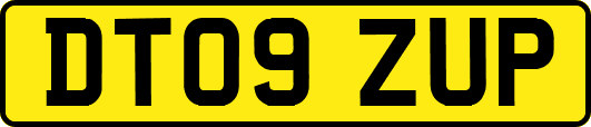 DT09ZUP
