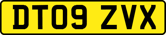 DT09ZVX