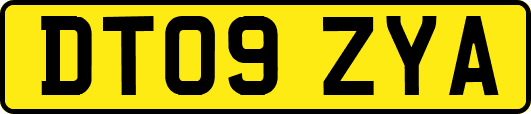 DT09ZYA