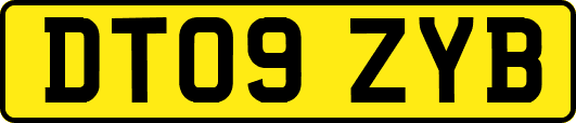 DT09ZYB