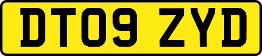 DT09ZYD