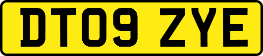 DT09ZYE