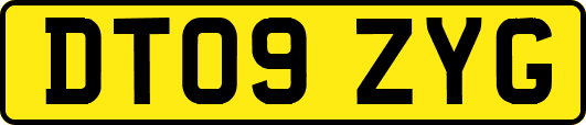 DT09ZYG