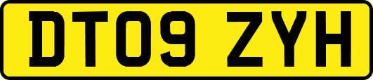 DT09ZYH