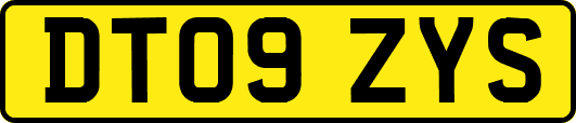 DT09ZYS
