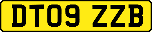 DT09ZZB