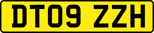 DT09ZZH