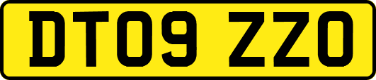 DT09ZZO