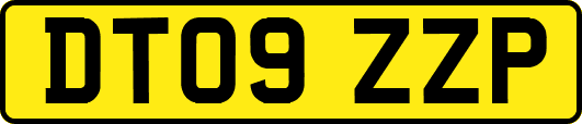 DT09ZZP