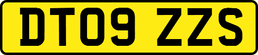DT09ZZS