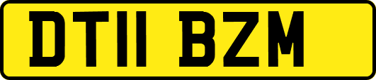 DT11BZM