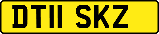 DT11SKZ