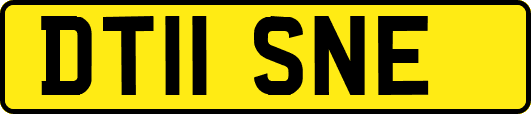 DT11SNE