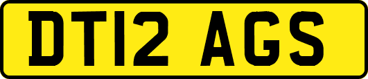DT12AGS