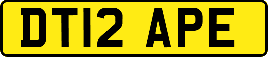 DT12APE