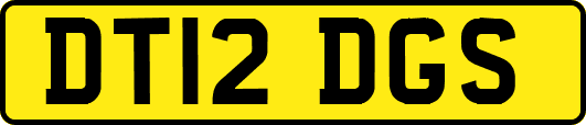 DT12DGS