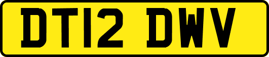 DT12DWV