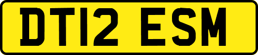 DT12ESM