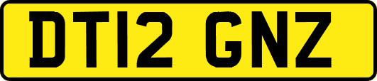 DT12GNZ