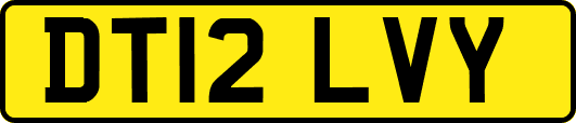 DT12LVY