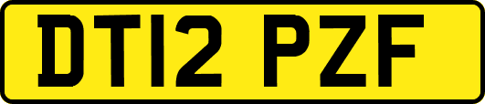 DT12PZF