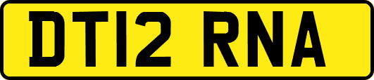 DT12RNA