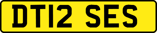 DT12SES