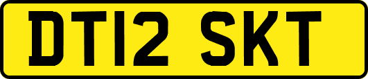 DT12SKT