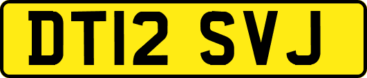 DT12SVJ