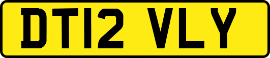 DT12VLY